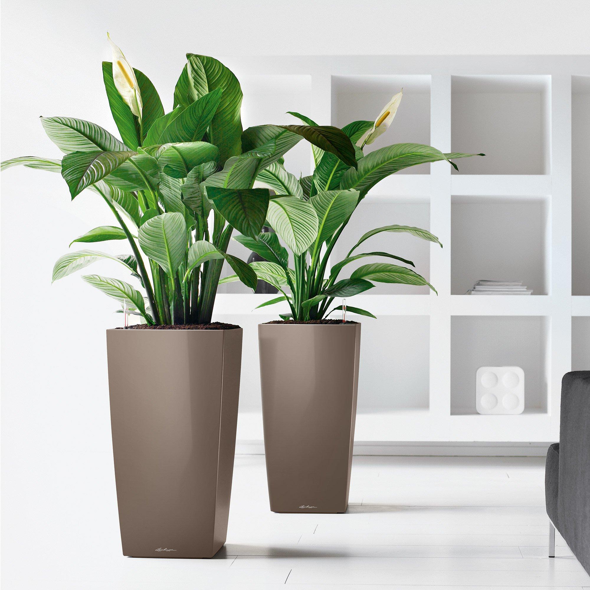 le_cubico50_product_addi_02